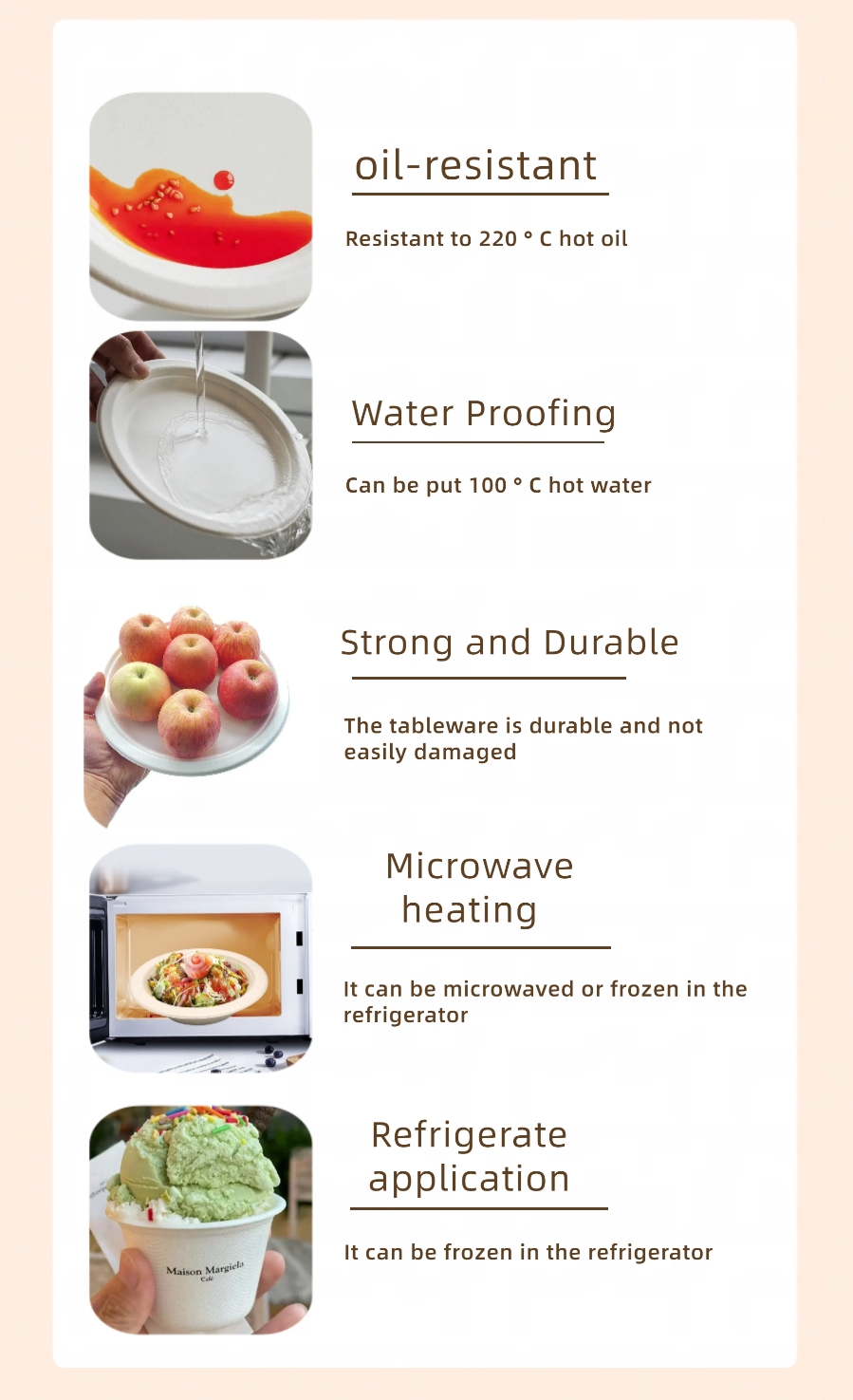Bagasse tableware Feature.jpg
